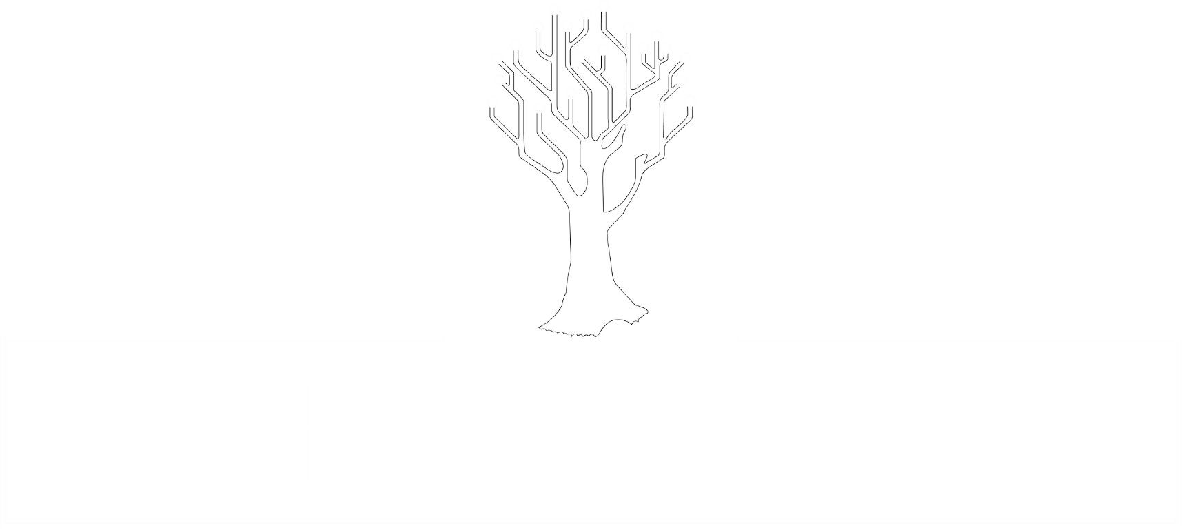 logo desenvovedor do site